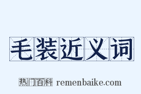 毛装近义词是什么意思的图片